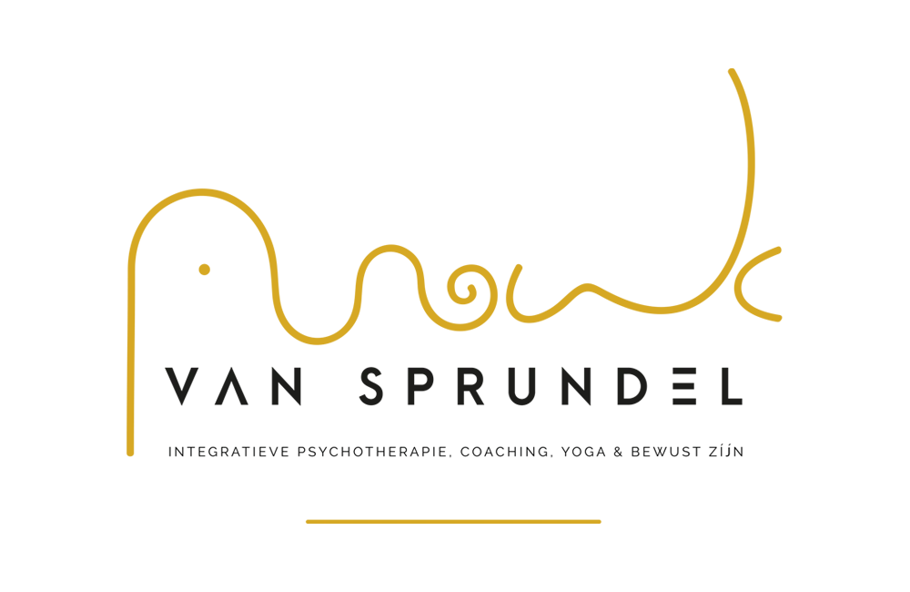 WIJZIJNPAUL | Anouk - logo design