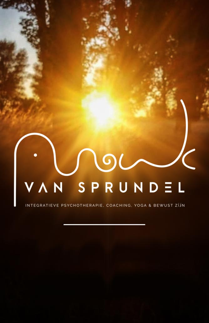 WIJZIJNPAUL  |  Huisstijl ontwikkeling - Anouk van Sprundel