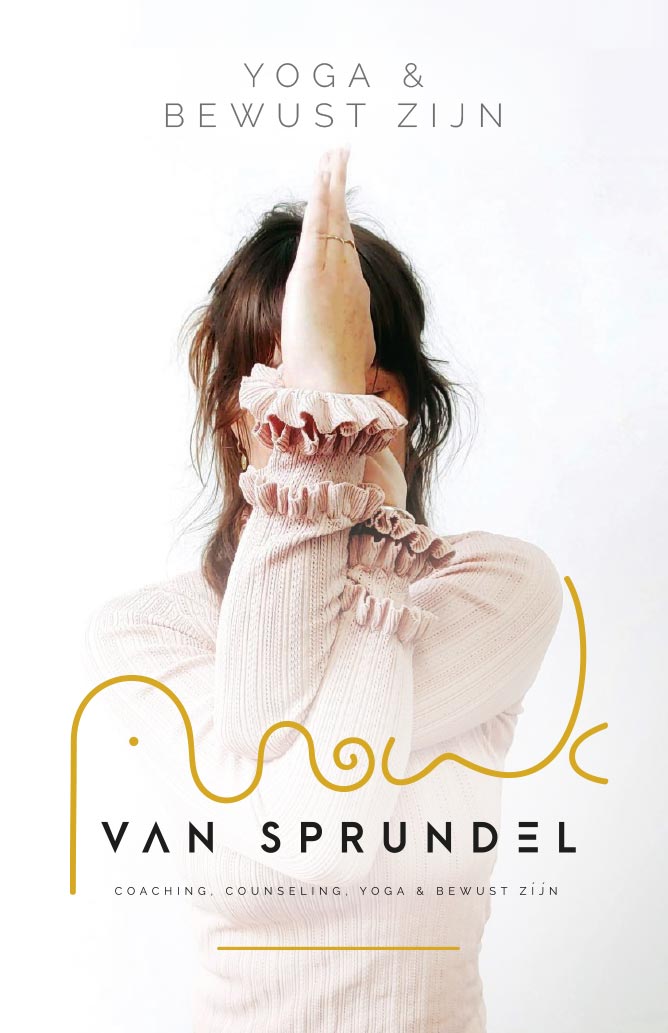 WIJZIJNPAUL  |  Huisstijl ontwikkeling - Anouk van Sprundel