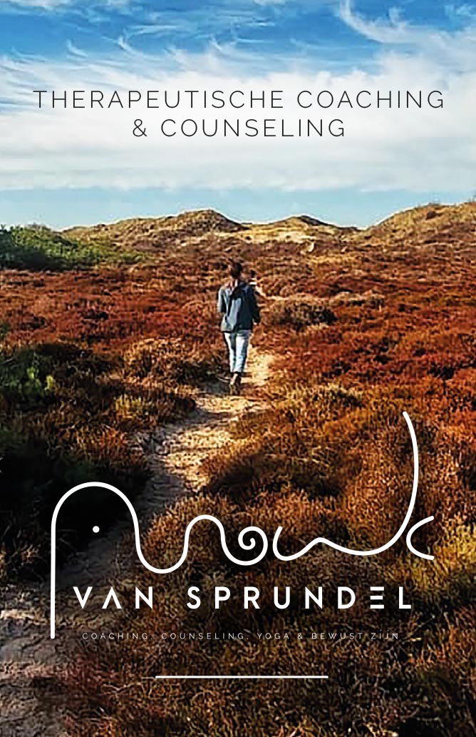 WIJZIJNPAUL  |  Huisstijl ontwikkeling - Anouk van Sprundel