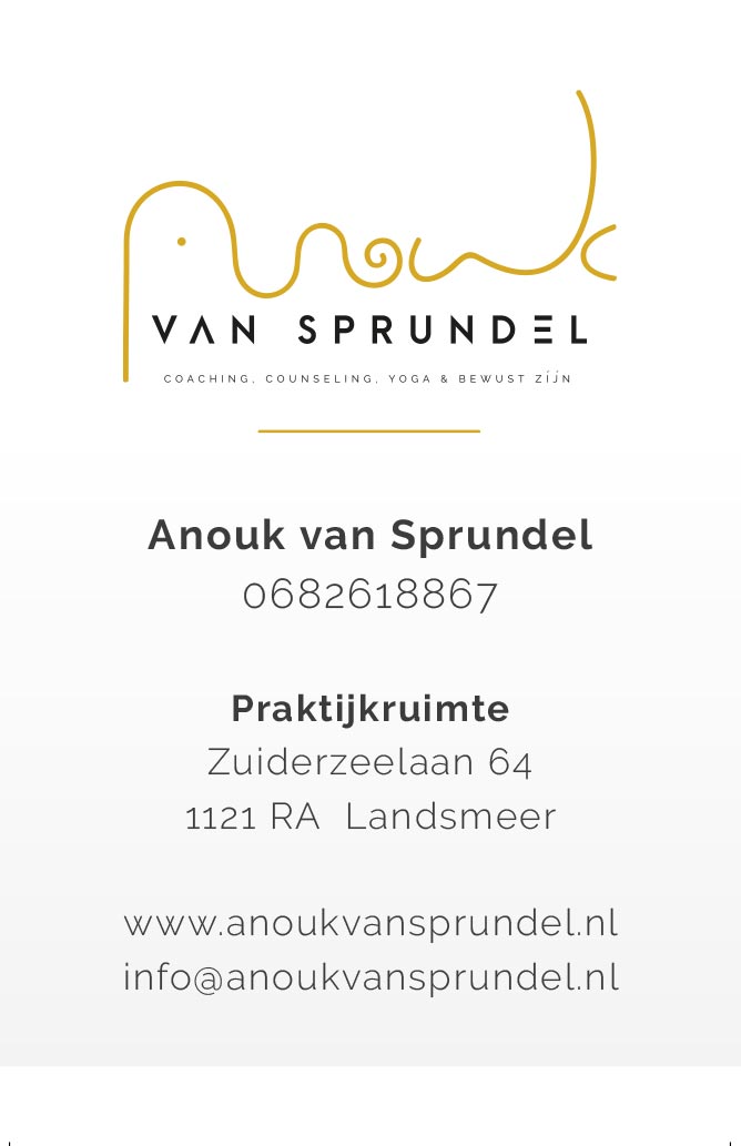 WIJZIJNPAUL  |  Huisstijl ontwikkeling - Anouk van Sprundel