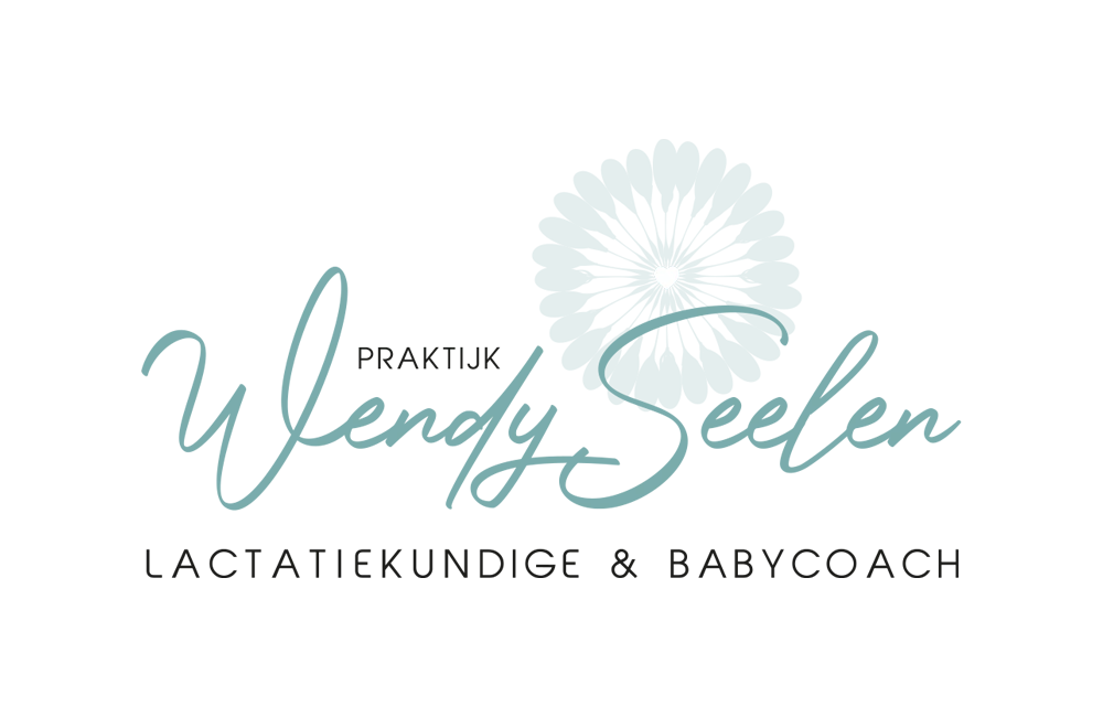 WIJZIJNPAUL | Wendy Seelen - logo design